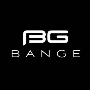 برچسب حرارتی مدل BG
