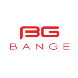 برچسب حرارتی مدل BG
