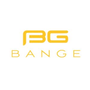 برچسب حرارتی مدل BG